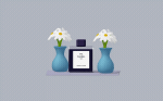 Perfume & Fragrance